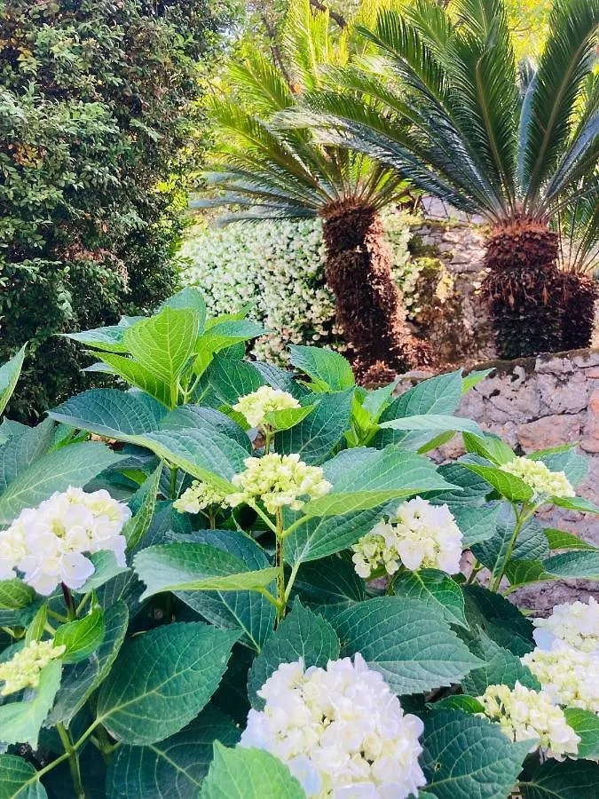 费扎诺Casa Nori别墅 度假居 费扎诺